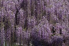 Image00060