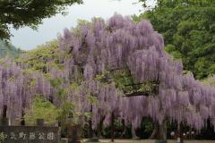 Image00056