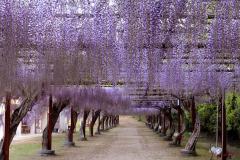 Image00031A
