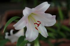 IMG_6150wb