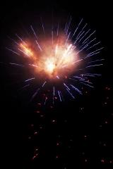 IMG_3272V