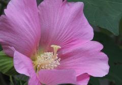IMG_2555wb