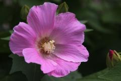 IMG_3219wb