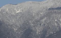 Image00003