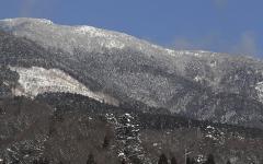 Image00008