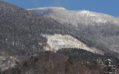 Image00009