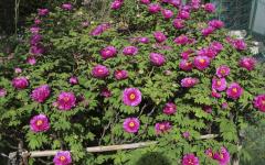 Image00001