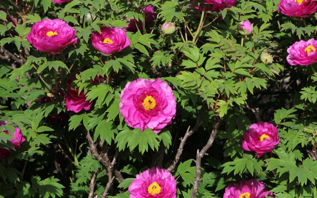 Image00002