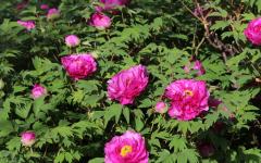 Image00003