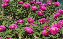 Image00005