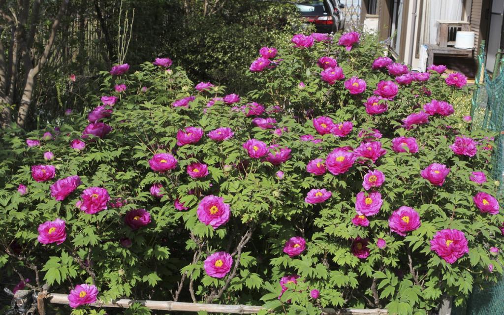Image00007