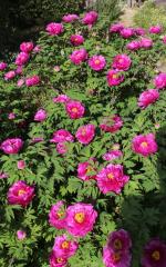 Image00010