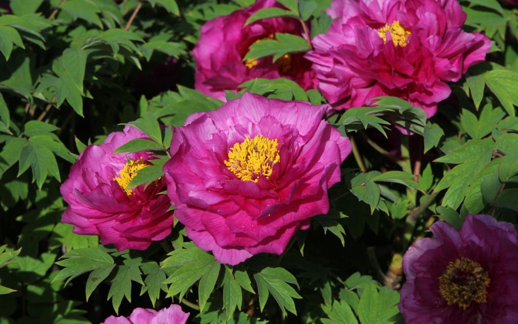 Image00013