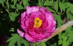 Image00014