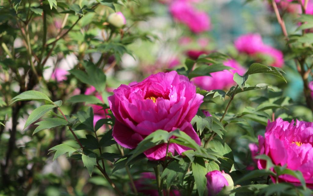 Image00017