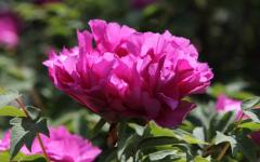 Image00023