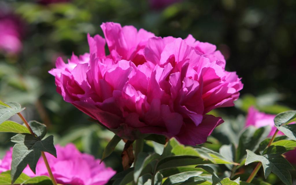 Image00023