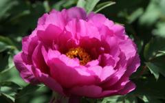 Image00024