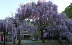 Image00001