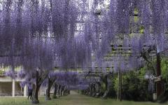 Image00002