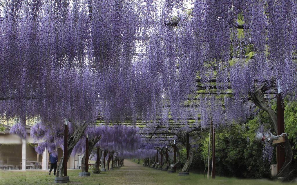 Image00002