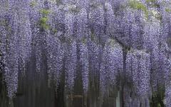 Image00003