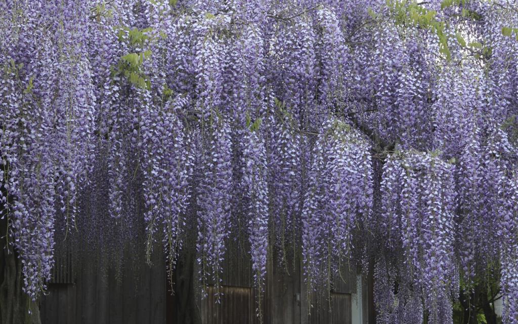 Image00003