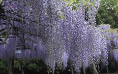 Image00004