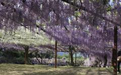 Image00009