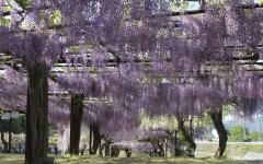Image00010