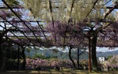 Image00012