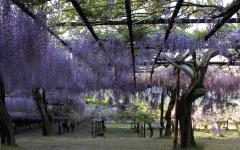 Image00013