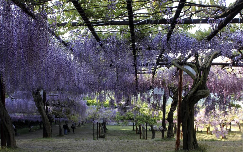 Image00013