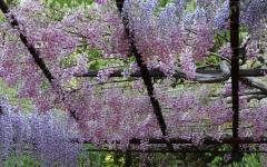 Image00014