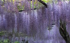 Image00015