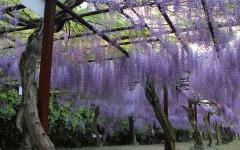 Image00016