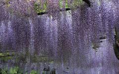 Image00017