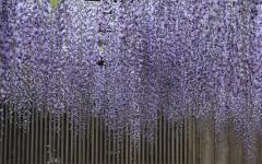 Image00018