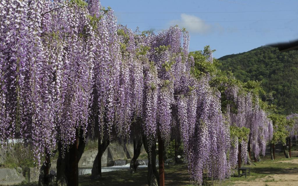 Image00019