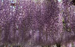 Image00021