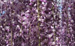 Image00022