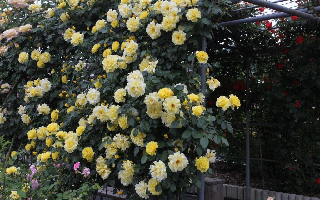 Image00022