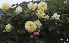 Image00024