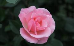 Image00026