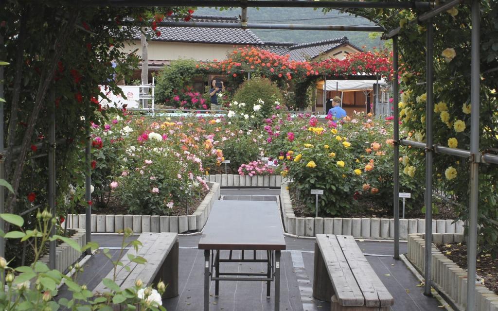 Image00029