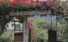 Image00038