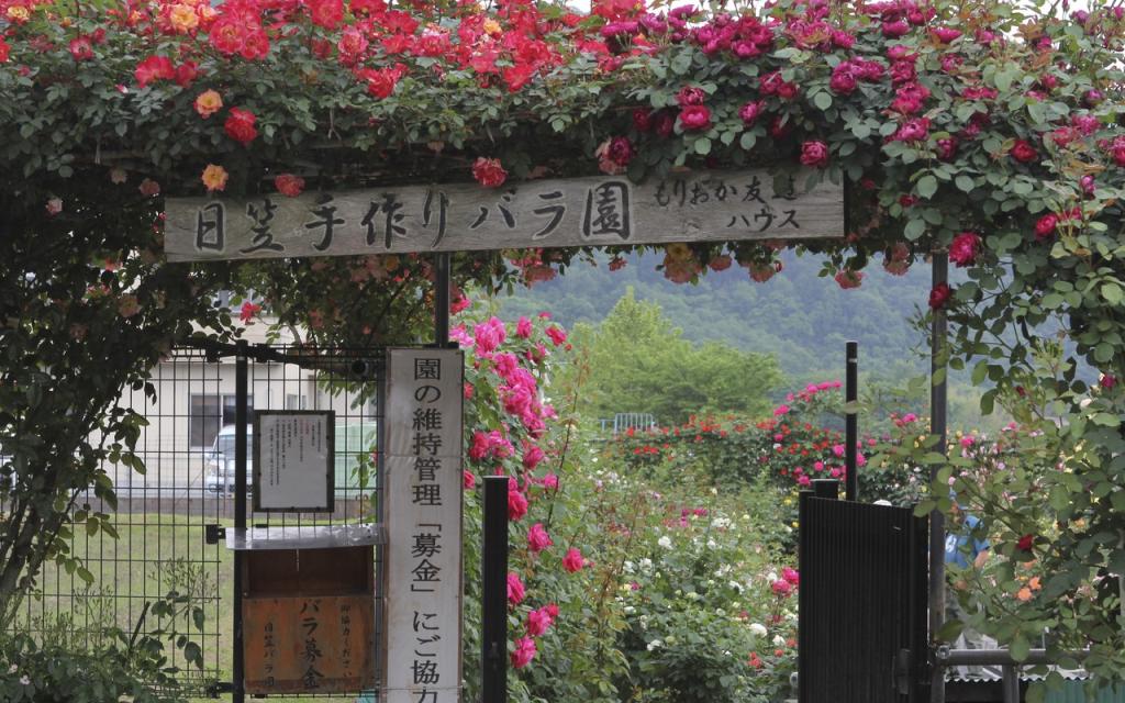Image00038