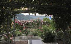 Image00040