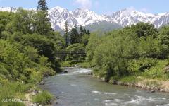 Image00019