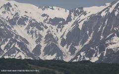 Image00012